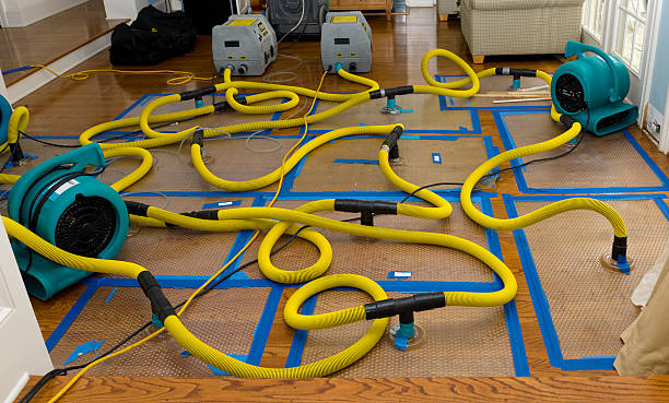 Professional Structural Drying And Dehumidification technician working in Sims, NC